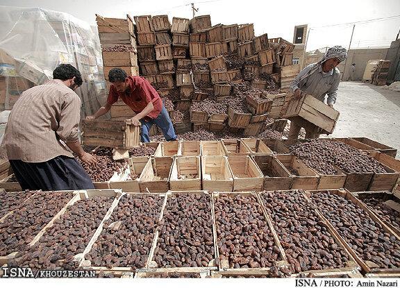 پرداخت مطالبات نخلداران خوزستان تا نیمه آذرماه