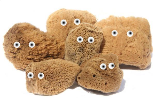 خلاقیت داشته باشید!